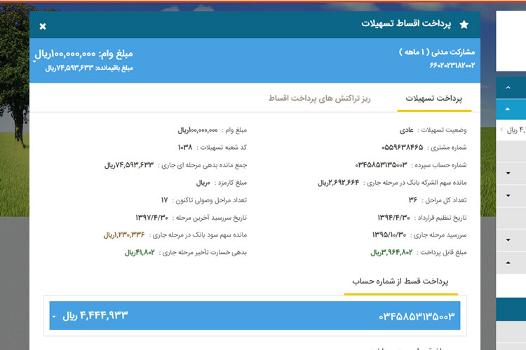 پرداخت تسهیلات وام جزییات