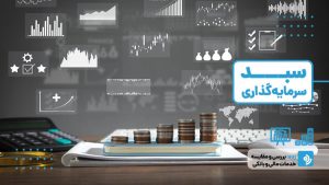 متنوع سازی سبد سرمایهگذاری به چه معناست؟