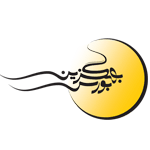 کارگزاری بهگزین
